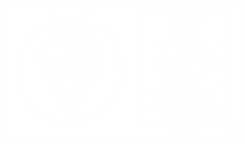 BSI
